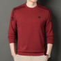 2023 Spring And Autumn New Men's Youth Round Neck Korean Fashion Casual Long Sleeve T-Shirt Sweater